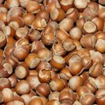 Haselnüsse mit Schale