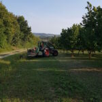 traktor_haselnussfeld_2